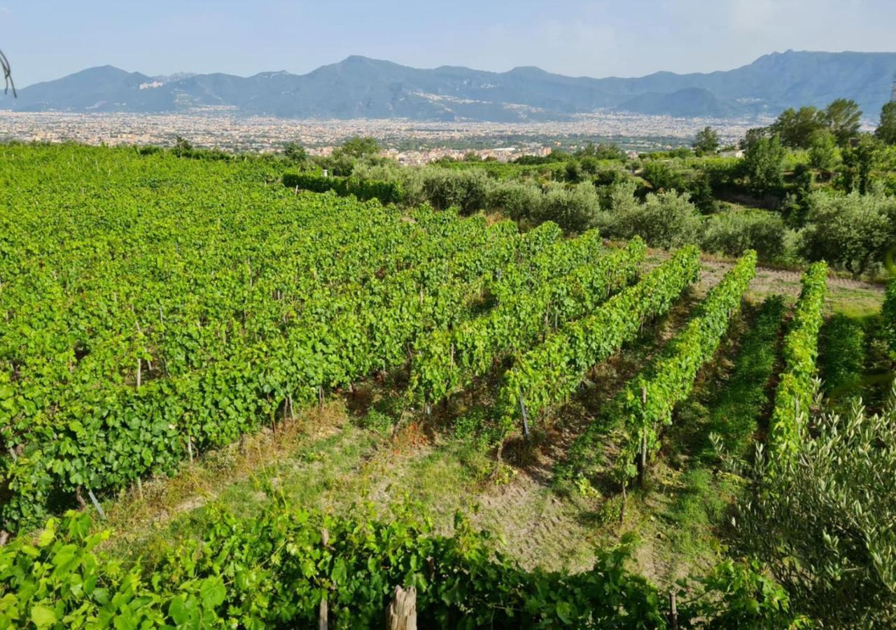 Vesuvio Inn Bed & Wine Experience Boscotrecase Exterior foto